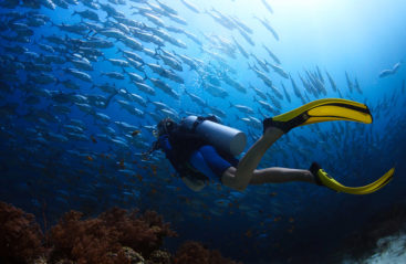 Diving
